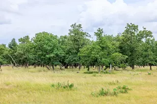 11453 N US Hwy 87, Fredericksburg, TX 78624 - Photo 42