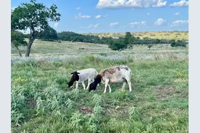 Lot 25 Badger Ridge Rd, Fredericksburg, TX 78624 - Photo 14