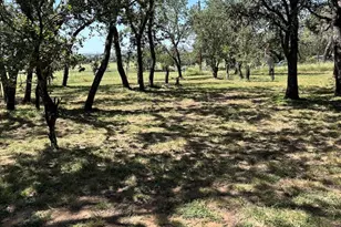 727 Cemetary Rd, Stonewall, TX 78671 - Photo 16