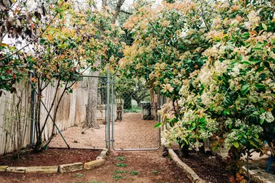 203 S Creek St, Fredericksburg, TX 78624 - Photo 50