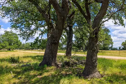 Lot 88 Stock Pond Dr, Harper, TX 78631 - Photo 8