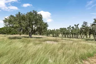 434 Gold-Schaefer Rd, Fredericksburg, TX 78624 - Photo 32