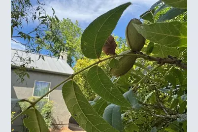 406 Cross Mountain Dr, Fredericksburg, TX 78624 - Photo 4