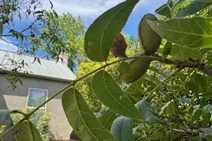 406 Cross Mountain Dr, Fredericksburg, TX 78624 - Photo 4