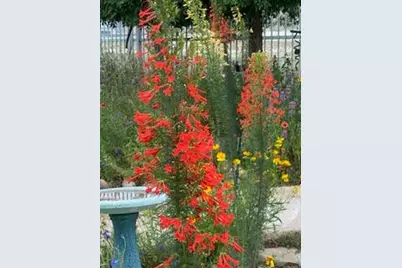 2305 Summit Forest, Fredericksburg, TX 78624 - Photo 50