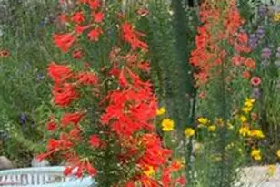 2305 Summit Forest, Fredericksburg, TX 78624 - Photo 50