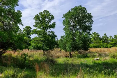 0 Pfiester Rd, Fredericksburg, TX 78624 - Photo 8