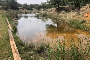 661 Sandy Ln, Fredericksburg, TX 78624 - Photo 4