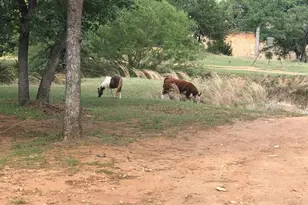 661 Sandy Ln, Fredericksburg, TX 78624 - Photo 26