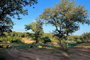 661 Sandy Ln, Fredericksburg, TX 78624 - Photo 50