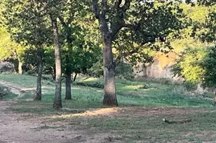 661 Sandy Ln, Fredericksburg, TX 78624 - Photo 46