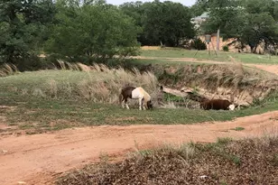 661 Sandy Ln, Fredericksburg, TX 78624 - Photo 32