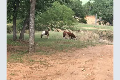 661 Sandy Lane, Fredericksburg, TX 78624 - Photo 26