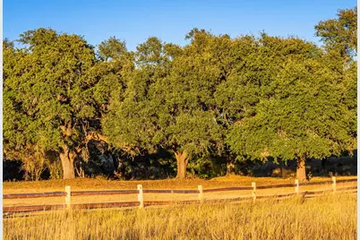 326 N Lehne Lane, Fredericksburg, TX 78624 - Photo 10