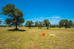 143 Agrihood Dr, Fredericksburg, TX 78624 - Photo 8