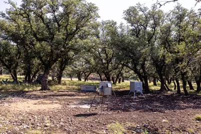 176 Jenna Ln, Harper, TX 78631 - Photo 22