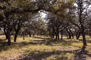 176 Jenna Ln, Harper, TX 78631 - Photo 6