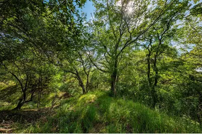 0 Fm 1888, Blanco, TX 78606 - Photo 28