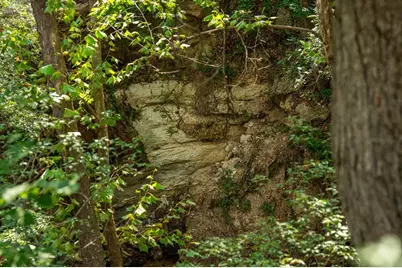 0 Fm 1888, Blanco, TX 78606 - Photo 22