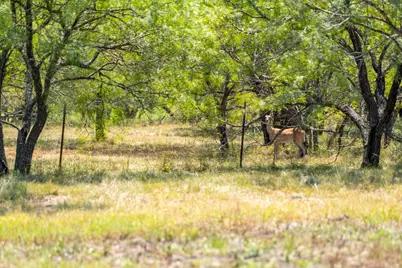 Lot 2 Mariposa Dr, Fredericksburg, TX 78624 - Photo 12
