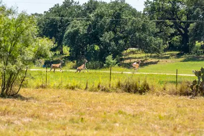 Lot 2 Mariposa Dr, Fredericksburg, TX 78624 - Photo 16