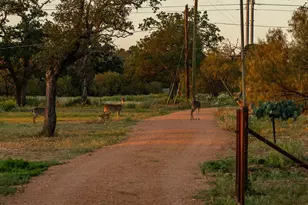 271 Smokehouse Rd, Fredericksburg, TX 78624 - Photo 62