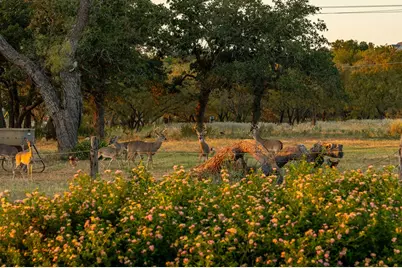 271 Smokehouse Rd, Fredericksburg, TX 78624 - Photo 58