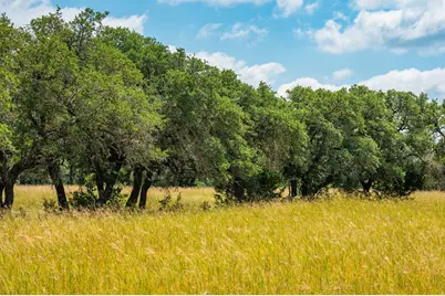 12995 Hackberry Rd, Rocksprings, TX 78880 - Photo 8