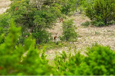 12995 Hackberry Rd, Rocksprings, TX 78880 - Photo 38