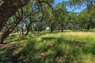 429 Spanish Oak Trail, Harper, TX 78631 - Photo 48