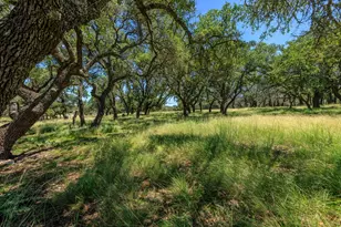 429 Spanish Oak Trail, Harper, TX 78631 - Photo 48