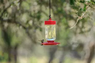 429 Spanish Oak Trail, Harper, TX 78631 - Photo 28