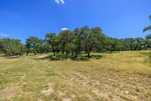 429 Spanish Oak Trail, Harper, TX 78631 - Photo 40