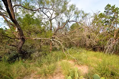 22874 Ranch Rd 385, Harper, TX 78631 - Photo 16