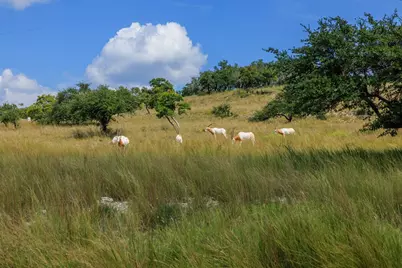 189 Fallen Acorn Dr, Blanco, TX 78606 - Photo 14