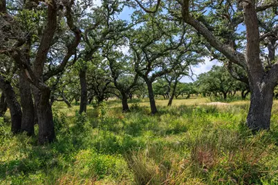 189 Fallen Acorn Dr, Blanco, TX 78606 - Photo 8