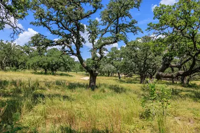 189 Fallen Acorn Dr, Blanco, TX 78606 - Photo 30