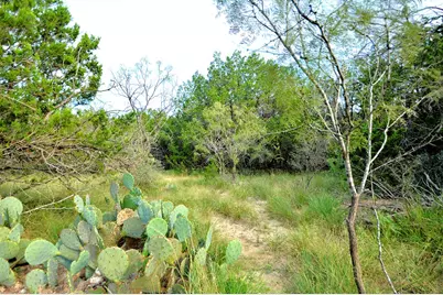 22874 Ranch Rd 385, Harper, TX 78631 - Photo 14