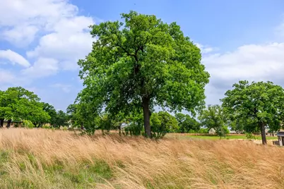 529 Hagee Drive, Fredericksburg, TX 78624 - Photo 10