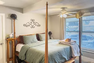 702 E Schubert St, Fredericksburg, TX 78624 - Photo 18