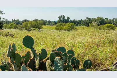 10 Slate Rock Rd, Fredericksburg, TX 78675 - Photo 12