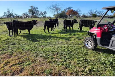 2320 Fiedler Rd, Harper, TX 78631 - Photo 62