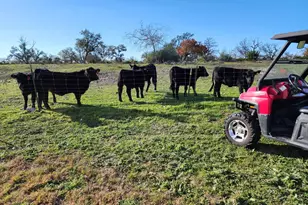 2320 Fiedler Rd, Harper, TX 78631 - Photo 62