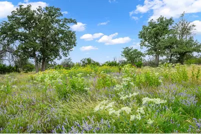 2320 Fiedler Rd, Harper, TX 78631 - Photo 48