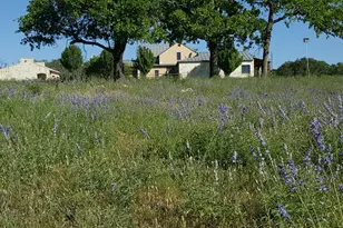 2320 Fiedler Rd, Harper, TX 78631 - Photo 32