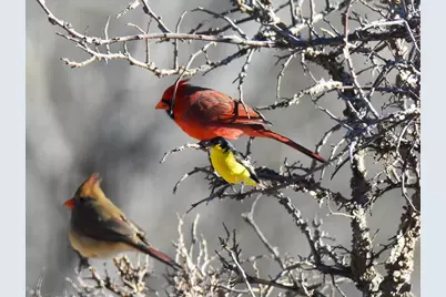 2320 Fiedler Rd, Harper, TX 78631 - Photo 68