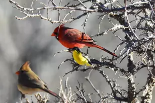 2320 Fiedler Rd, Harper, TX 78631 - Photo 68