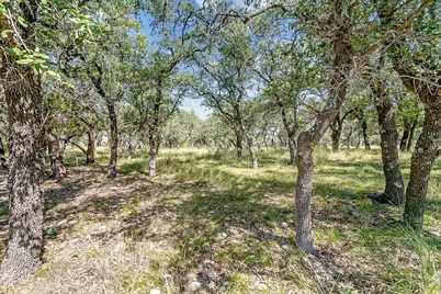 815 Oxen Trail, Fredericksburg, TX 78624 - Photo 48