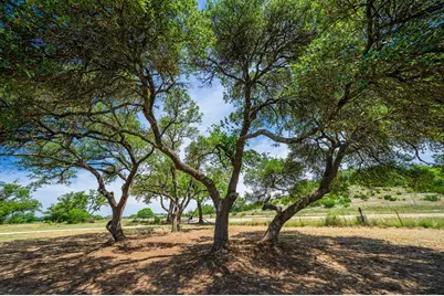 6589 Fm 2093, Fredericksburg, TX 78624 - Photo 30