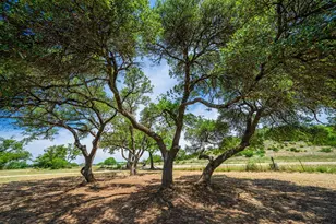 6589 FM 2093, Fredericksburg, TX 78624 - Photo 30